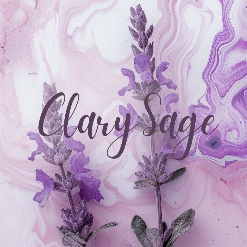 Clary Sage.jpg__PID:9ad000ce-0378-4e79-90b8-d3952549b550