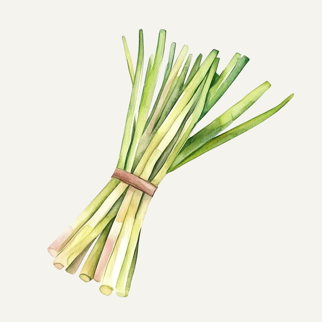 Mix & Melt | DIY Home Aroma Scented Wax Melts