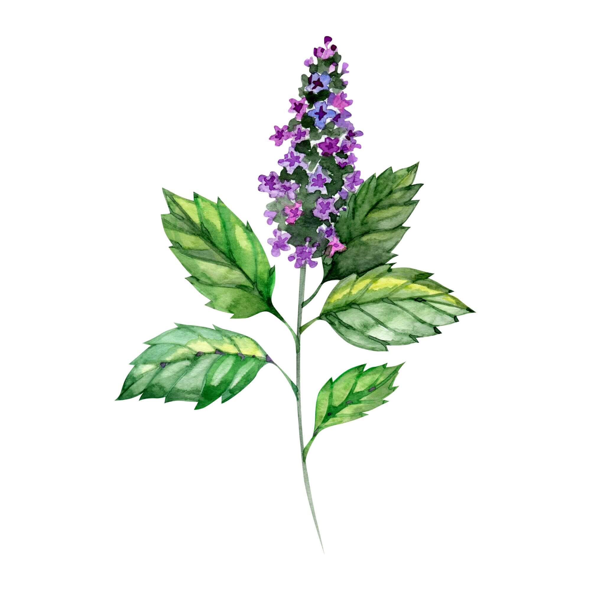 Mix & Melt | DIY Home Aroma Scented Wax Melts