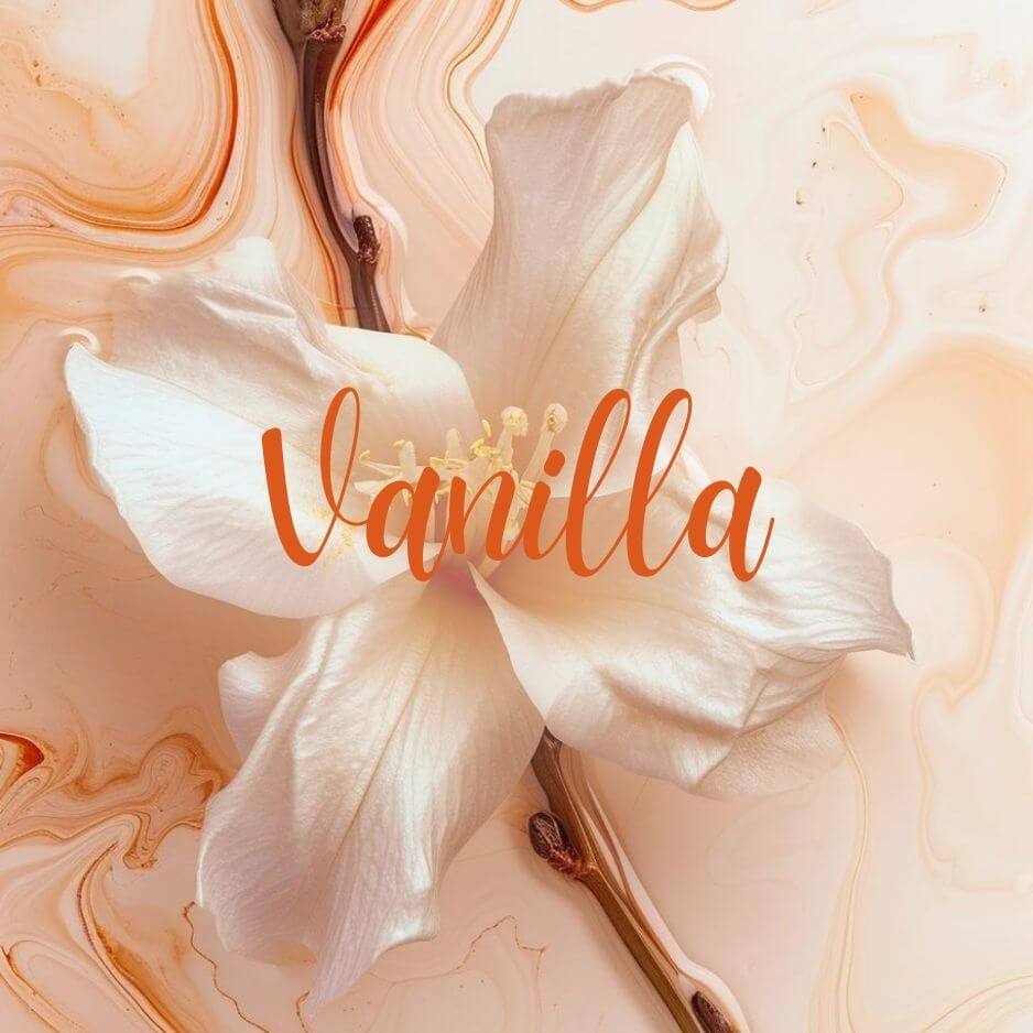 Vanilla.jpg__PID:49b550d7-db1a-41c8-a61c-f317ad37f201