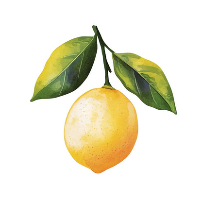 ภาพวาดสีน้ำของมะนาวเหลืองพร้อมใบ