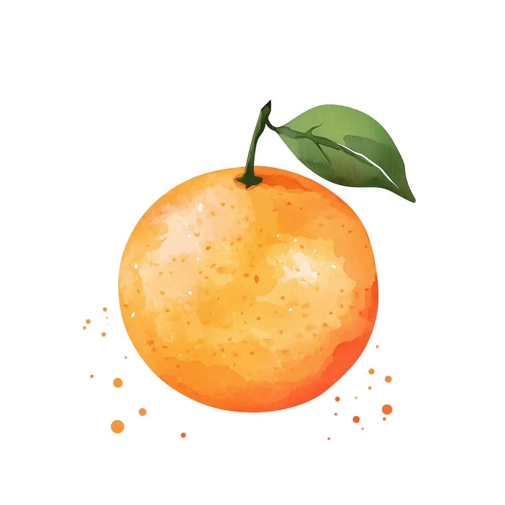 ภาพวาดสีน้ำของส้มแมนดาริน