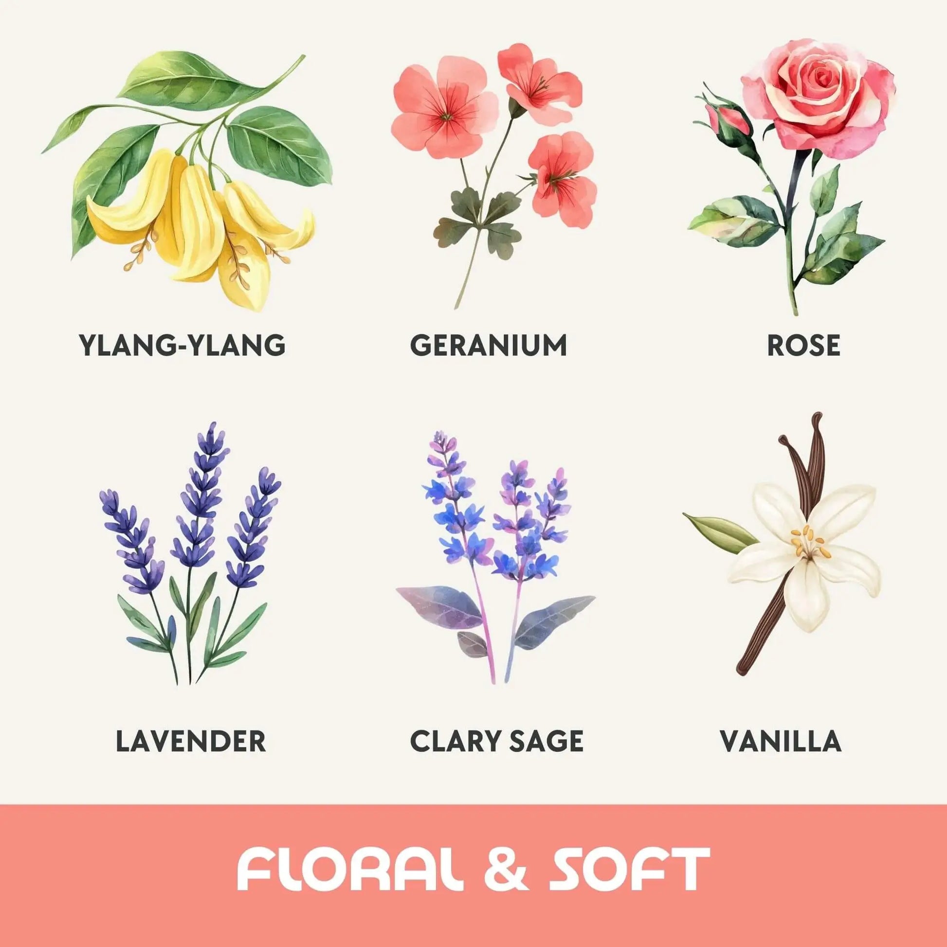 ส่วนผสมกลิ่น Floral & Soft แว็กซ์หอม Mix & Melt Dalayla: กระดังงา เจอราเนียม กุหลาบ ลาเวนเดอร์ คลารีเสจ วานิลา