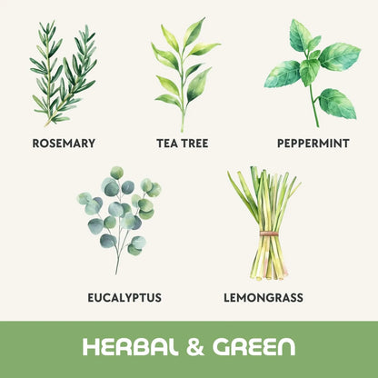 ส่วนผสมกลิ่น Herbal & Green แว็กซ์หอม Mix & Melt Dalayla: โรสแมรี ทีทรี เปปเปอร์มิ้นต์ ยูคาลิปตัส เลมอนกราส