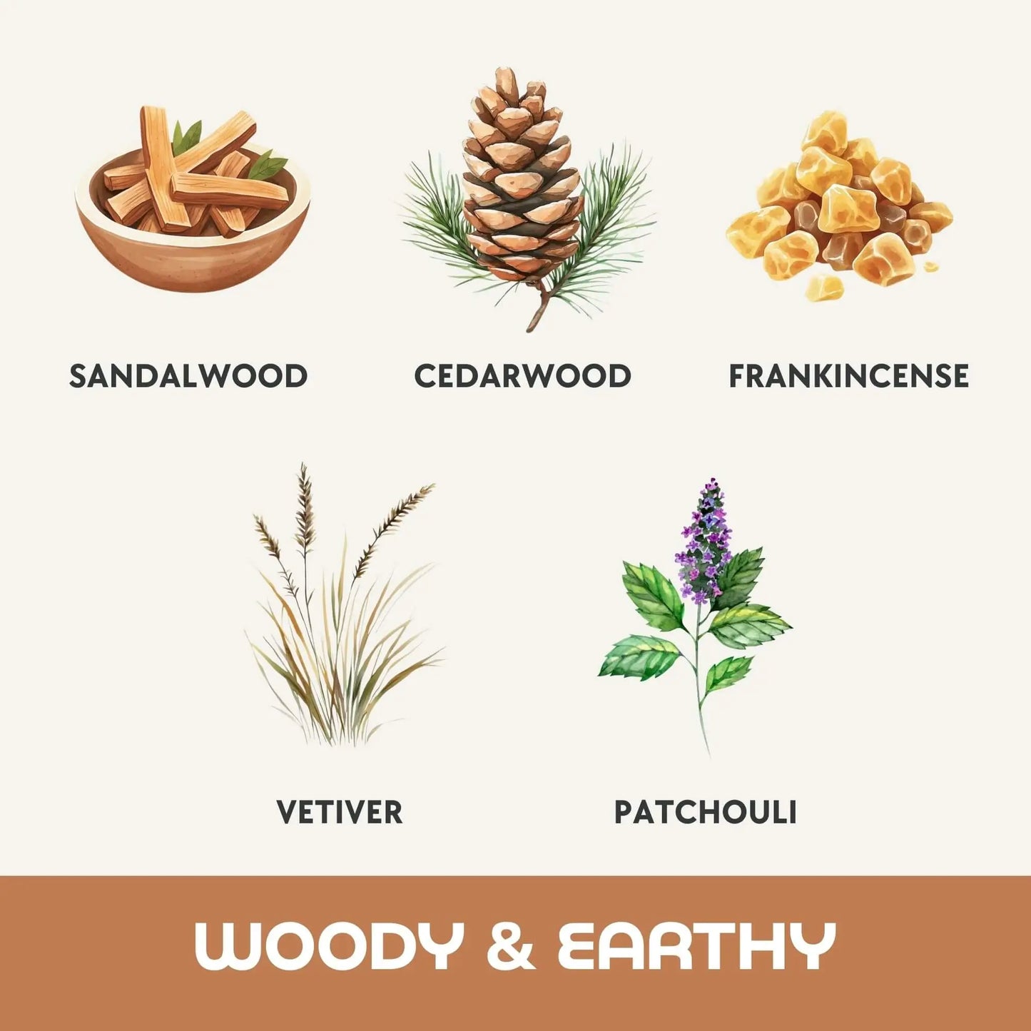 ส่วนผสมกลิ่น Woody & Earthy แว็กซ์หอม Mix & Melt Dalayla: แซนดัลวูด ซีดาร์วูด กำยาน เวทิเวอร์ แพทชูลี