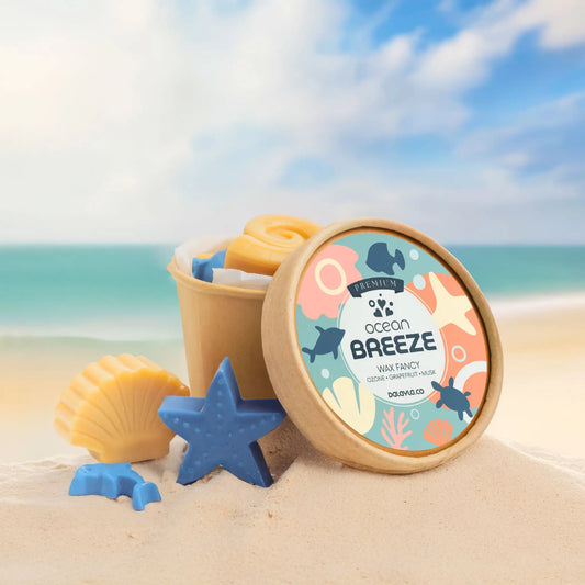 แว็กซ์หอม Ocean Breeze Premium Wax Fancy กลิ่น Ozone Grapefruit Musk ในถ้วยกระดาษ วางบนทราย พร้อมแว็กซ์รูปดาวทะเลและปะการัง